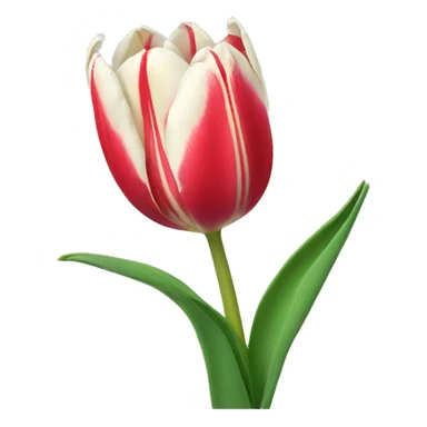Tulip sticker