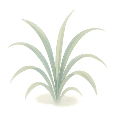 a small cluster of spider plant leaves, watercolor style, delicate brush strokes, soft colors sticker