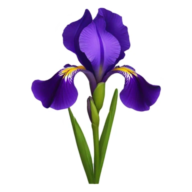 Iris flowers  sticker