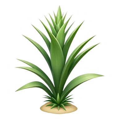 yucca plant with spiky green leaves sticker