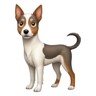 a full body large white floppy eared parson russell looking dog the size of a kelpie with light brown ears and a light brown patch on one eye and a large snout sticker