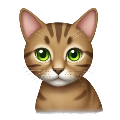 Slimmer Tabby brown cat with green eyes  sticker