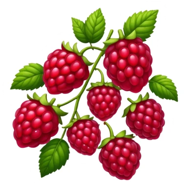 Framboise  sticker