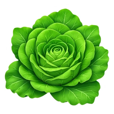 gentile lettuce thin leaves sticker
