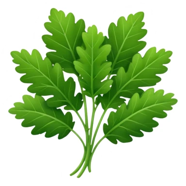 cilantro sticker