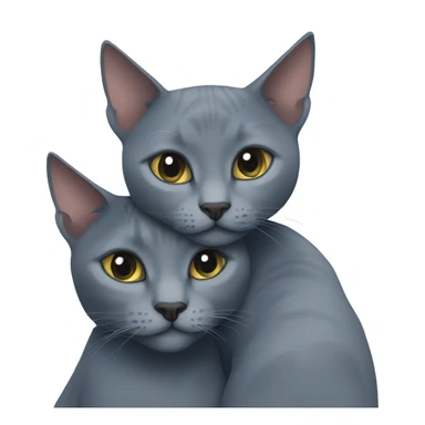 Two Russian Blue cats cuddle  sticker