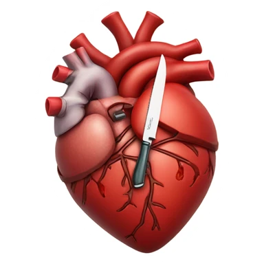 anatomical heart with a knife sticker