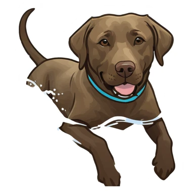 Brown lab swimming in ocean sticker