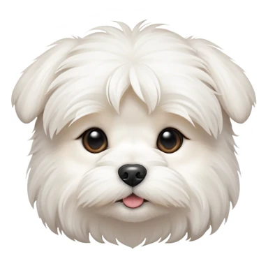 Maltese puppy face  sticker