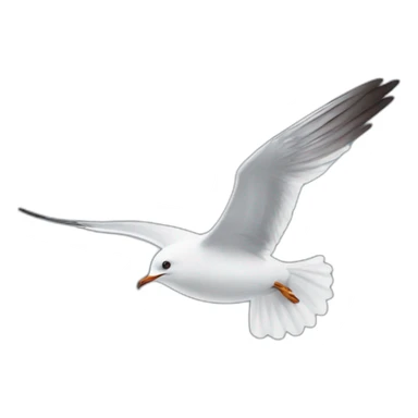 Mouette en train de voler  sticker