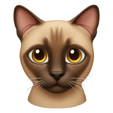 Brown Siamese cat sticker