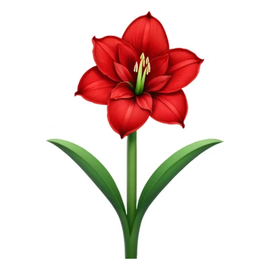 amaryllis sticker