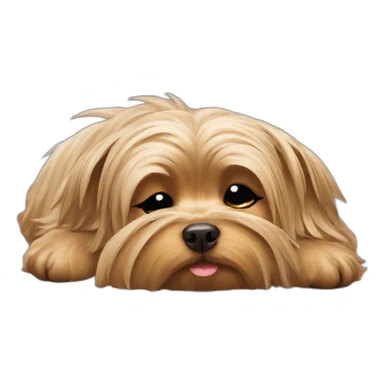 sleeping Yorkshire Terrier sticker