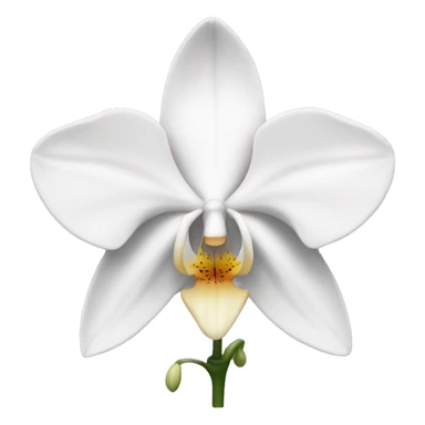 white orchid sticker