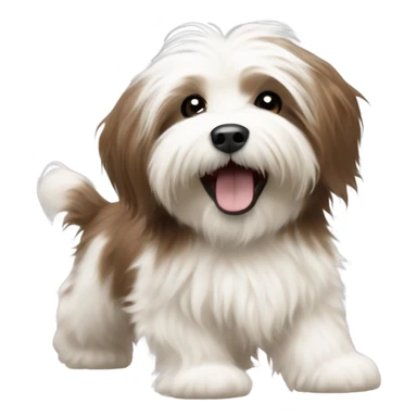 Havanese dog with brown and white fur frolicking sticker