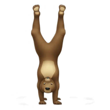 Bär, Handstand sticker