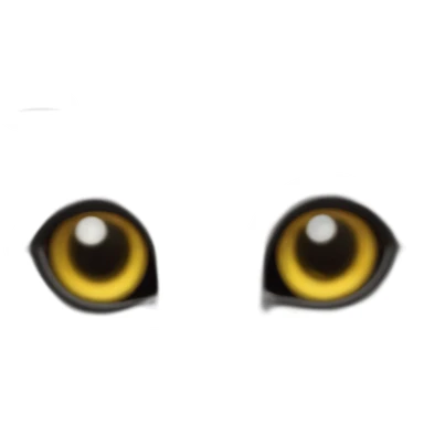 cat fisheye close-up sticker