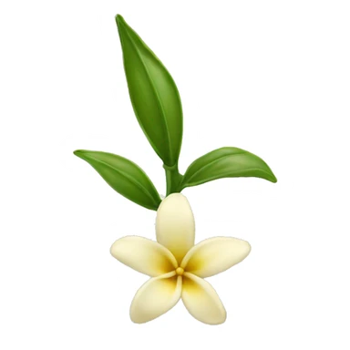 vanilla bean with flower sticker
