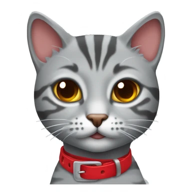 gray tabby cat with red chocker sticker