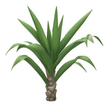 Yucca sticker