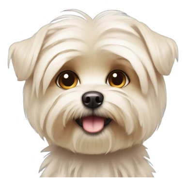 Light colored Morkie  sticker