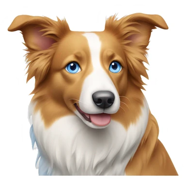 Pale orange and white border collie with blue eyes  sticker