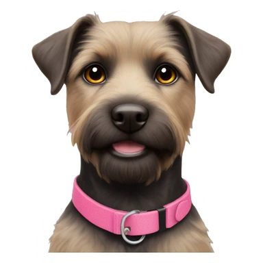 Patterdale with pink collar sticker