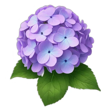 Hydrangeas flower sticker