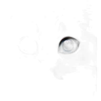 Blue point Ragdoll cat sticker