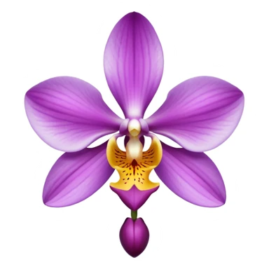 orchid sticker