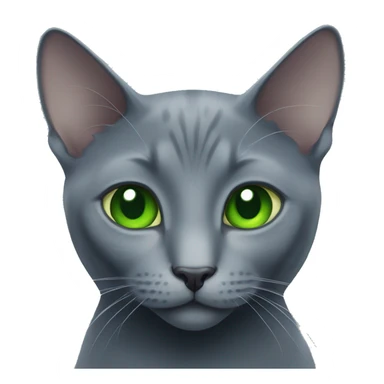 russian blue cat with green eyes  sticker