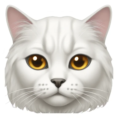 Serious dominant white cat persa sticker
