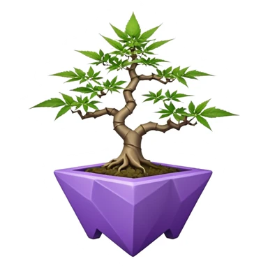  small short bonsai pot trident maple purple marijuana with triangular angular faceted asymmetrical originally shaped body  sticker