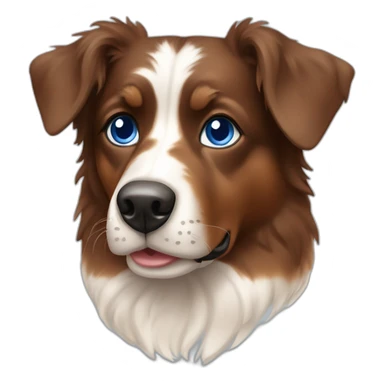 Berger australien brown tricolore blue eyes sticker