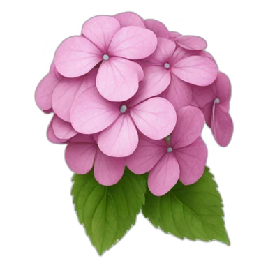 Flower hydrangea  sticker