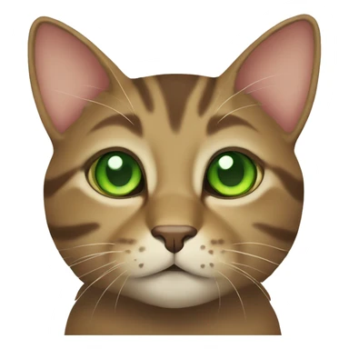 Tabby brown cat with green eyes and green collar  sticker