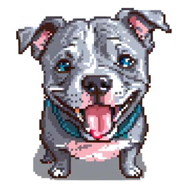 round circle puppy head full grey bleu staffy, big open mouth, big tongue out, stupid expression sticker