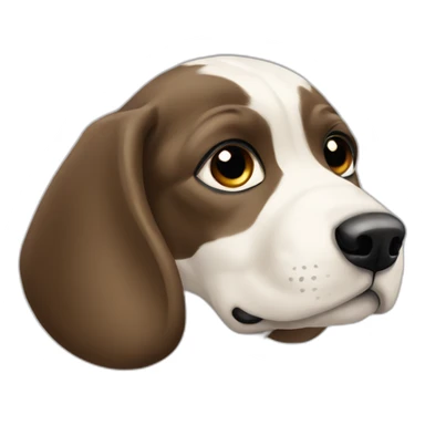 puppy Braque D'Auvergne sticker