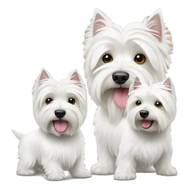 two west highland white terriers of different sizes sticker