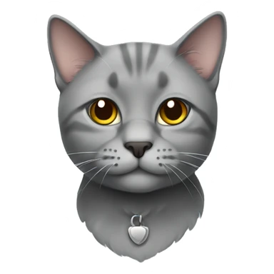 Gray Scottish cat sticker