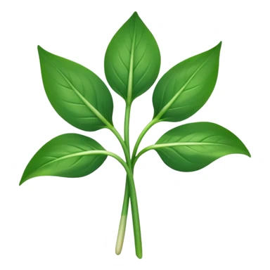 single sprig or small cluster of wild garlic leaves with smooth elongated lance-shaped blades, rich vibrant green color, soft central veins, fresh slightly glossy surface, gently arching from slender stems, no roots or soil, apple emoji style, soft lighting, subtle shadows, emoji scale sticker