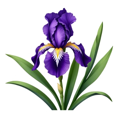 Beautiful purple iris flower with distinctive three falls and three standards, showing typical iris shape with sword-like leaves sticker