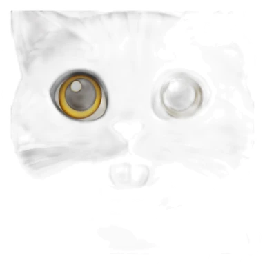 Grey cat Scottish fold laught sticker