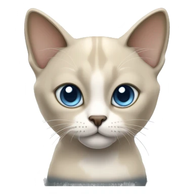 Thai breed cat with a light cream-brown body, dark gray face, ears, and paws. Short fur, sharp ears, and striking light blue eyes with an intense gaze. sticker