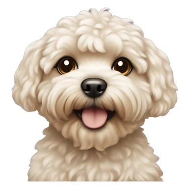 Maltipoo dog sticker