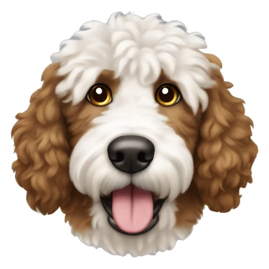 Brown and white patches Golden doodle dog showing tongue white head brown ears and brown patch on top of head fluffy head sticker