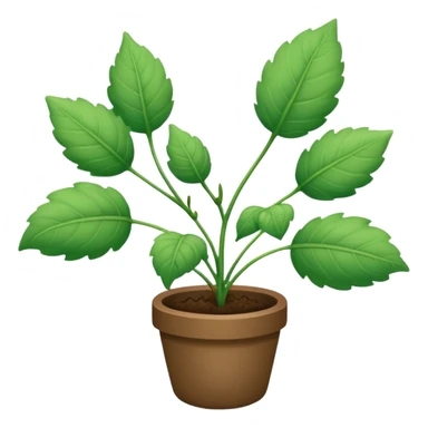small cotten plant sticker