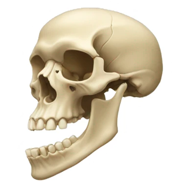 mandibula marcada sticker