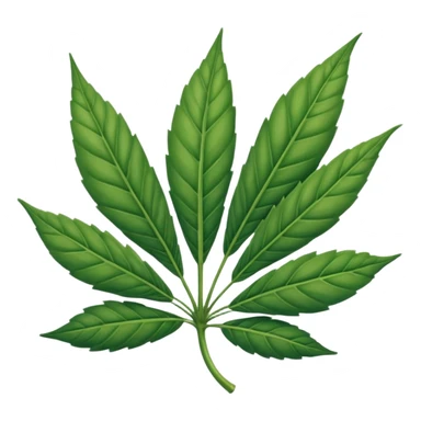 Hoja de mariguana Hoja de mariguana sticker