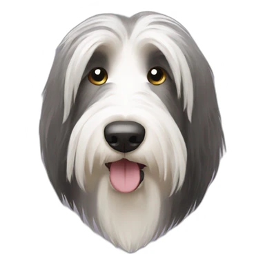 Bearded collie sticker